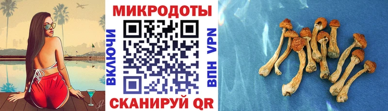 Купить закладки  Калининск  Галлюциногенные грибы прущие грибы 